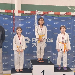 Image de l'actu 'BALLAN JUDO CLUB – Appel à candidatures pour la saison 2026/2027'