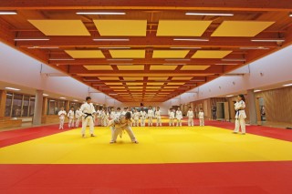 Image de l'actu 'BALLAN JUDO CLUB – Appel à candidatures pour la saison 2026/2027'