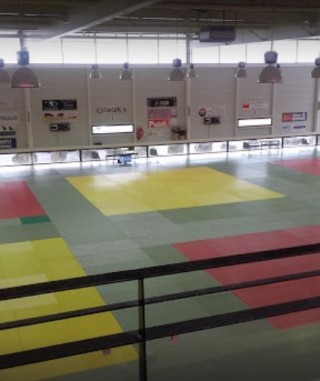Image de l'actu 'BALLAN JUDO CLUB – Appel à candidatures pour la saison 2026/2027'