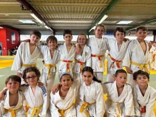 Image de l'actu 'BALLAN JUDO CLUB – Appel à candidatures pour la saison 2026/2027'