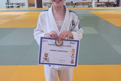 2ème phase du Tournoi des Petits Tigres au Dojo Van Hauwe à Tours samedi 30 mai 2026