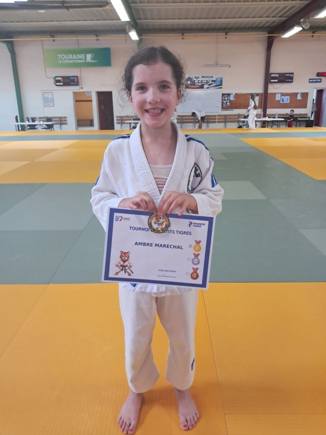 Image de l'actu '2ème phase du Tournoi des Petits Tigres au Dojo Van Hauwe à Tours samedi 30 mai 2026'