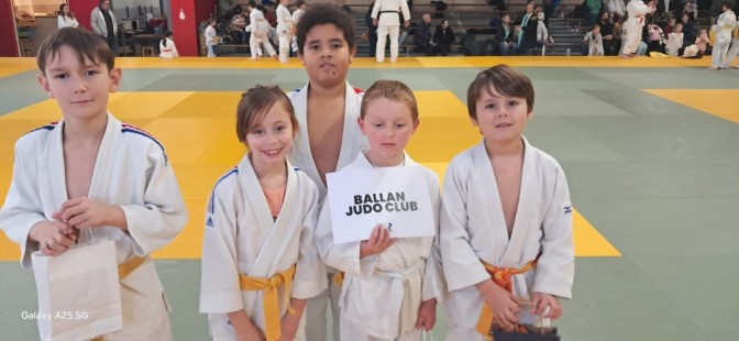Image de l'actu 'Voyage de Komodo au dojo Van Hauwe à Tours le mercredi 10 décembre 2025'
