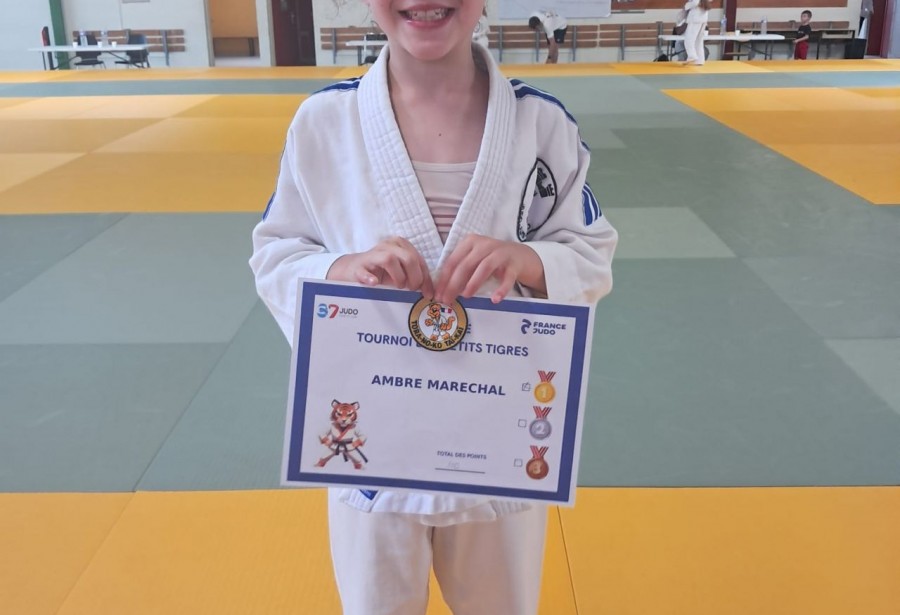 2ème phase du Tournoi des Petits Tigres au Dojo Van Hauwe à Tours samedi 30 mai 2026