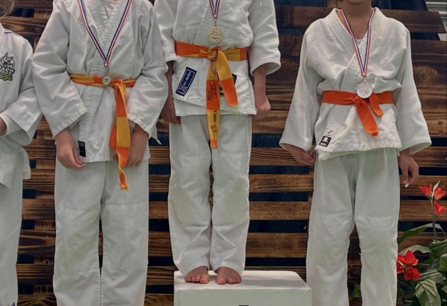 Interclubs de Veigné le Dimanche 18 Janvier 2026